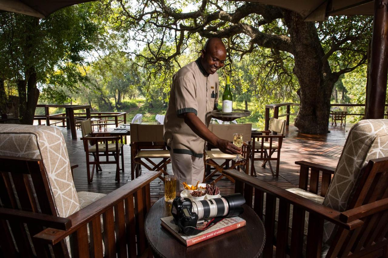Hamiltons Tented Camp Mluwati Concession Exteriér fotografie