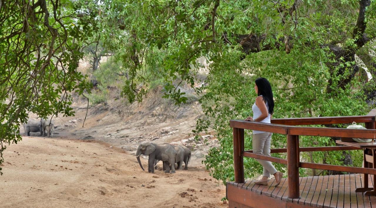 Hamiltons Tented Camp Mluwati Concession Exteriér fotografie
