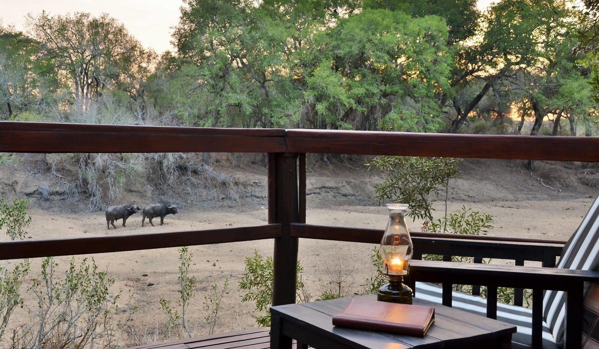 Hamiltons Tented Camp Mluwati Concession Exteriér fotografie