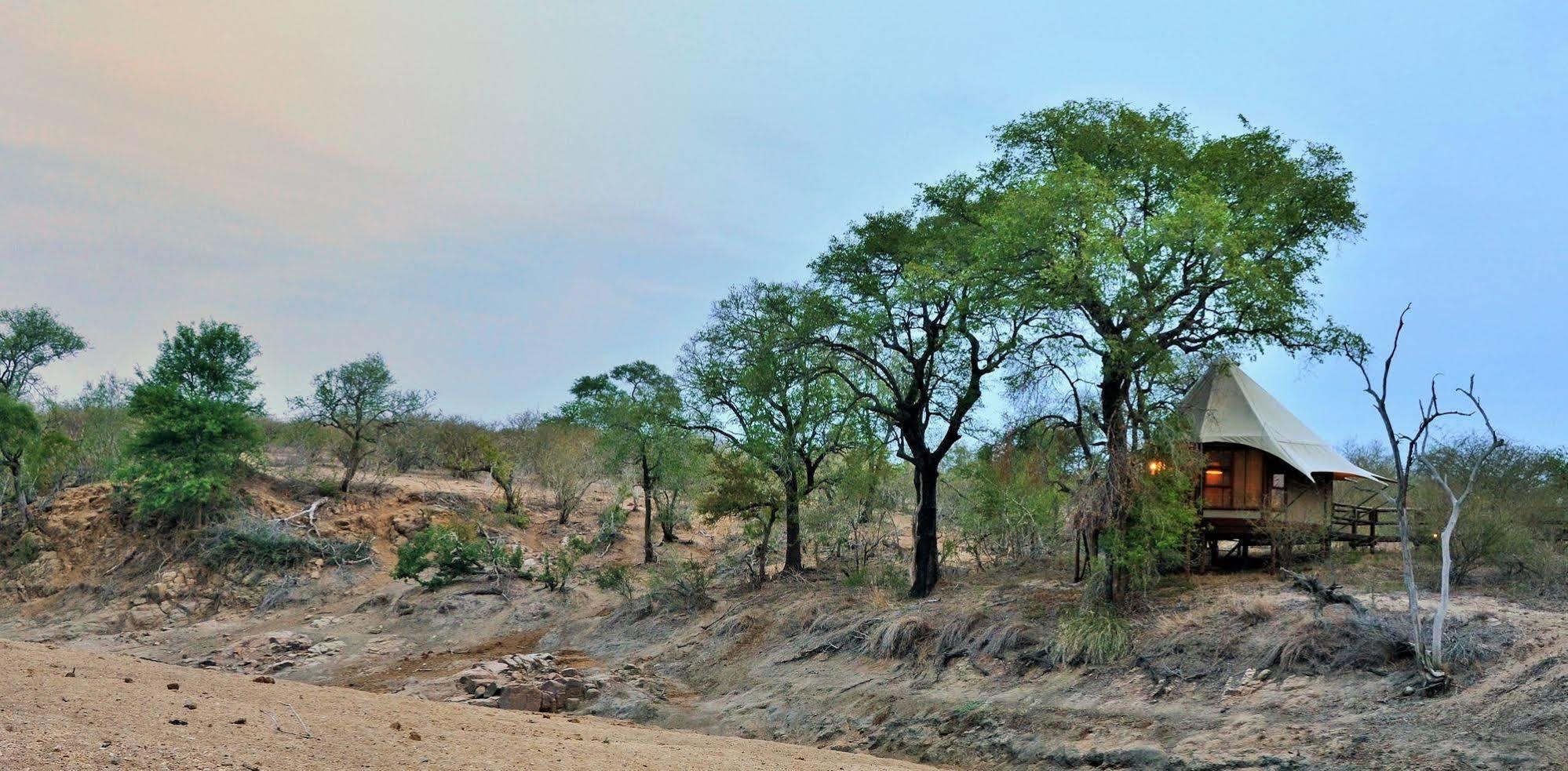 Hamiltons Tented Camp Mluwati Concession Exteriér fotografie